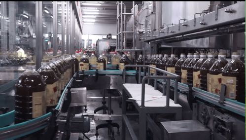 云賞金龍魚(yú)蝦田稻，共憶香韻外婆情